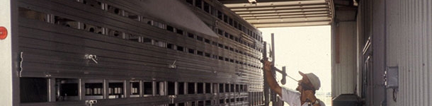 Design of the transportation in order to assure a correct cleaning and disinfection.