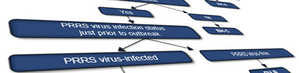 PRRS virus classification system for swine sow herds