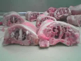 Week of 27-Jan-2012