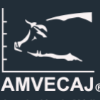 AMVECAJ 2019