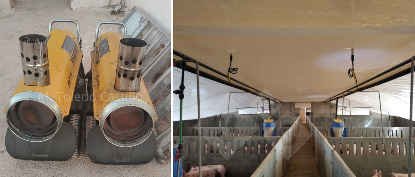 <p>Photo 5 and 6: Placement of greenhouse type of cover and air heaters.</p>
