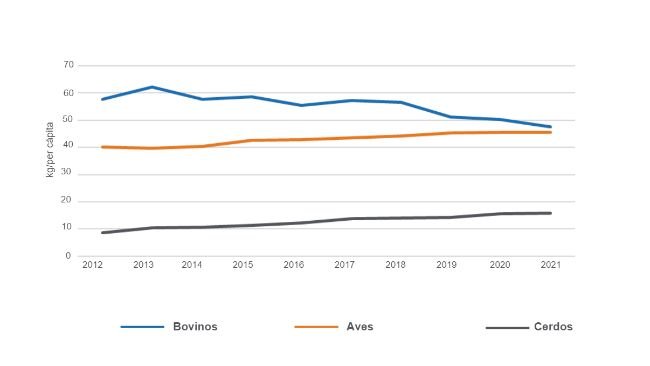 Fuente: MAGyP, 2022. 