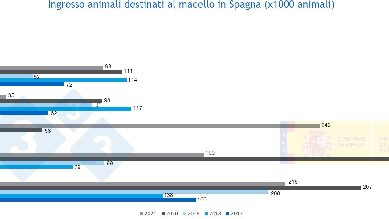 Figura 3. Entrata di suini con destinazione macello in Spagna dal 2021 al 2021 Fonte MAPA.
