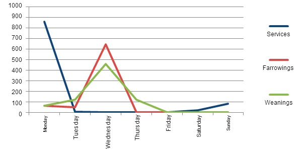 Task distribution by day of the week —one year period