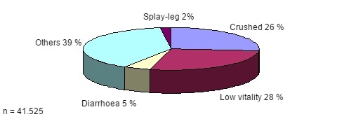 Distribution of death causes during lactation.