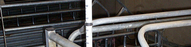 We move a plastic ring along the water drainpipe, leaving it at a series of pre-established marks.