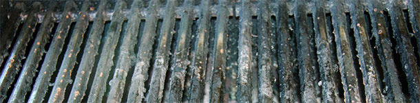 The weather has not favoured the barbecues in Germany