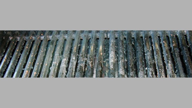 The weather has not favoured the barbecues in Germany