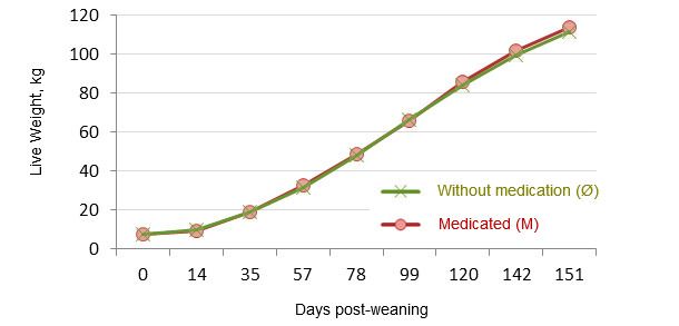 Evolution of live weight from weaning to slaughter