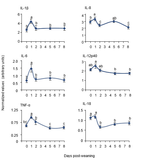 Changes in the expression of pro-inflammatory cytokine messenger RNA levels 