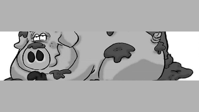Mud