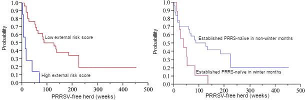 Probability of a farm to remain PRRSV-negative