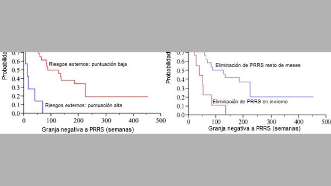 Probability of a farm to remain PRRSV-negative