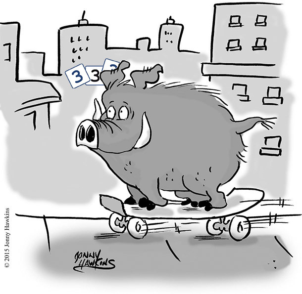 Skate boar