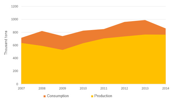 Production and consumption dynamics