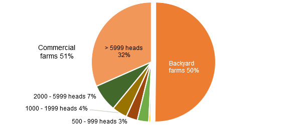 Ukraine: Structure of breeding stock