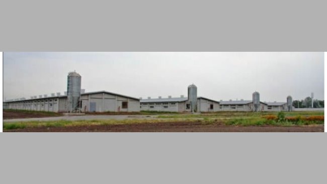 ukrainian farm