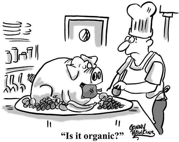 Is it organic?