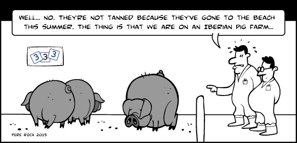 Tanned pigs