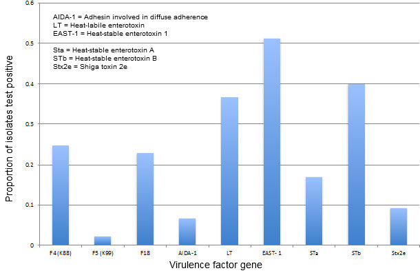 E coli virulence factor prevalence