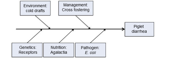 Five production input model of disease causation