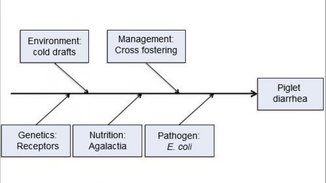 Five production input model of disease causation