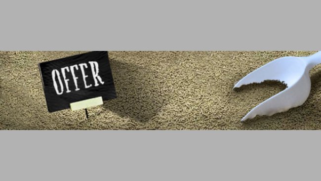 Cheap feed, cheap gas, lots of pork