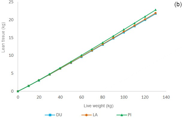 Allometric growth of fat tissue