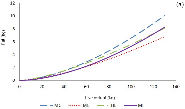 Allometric growth of fat tissue