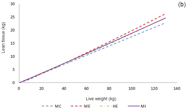 Allometric growth of fat tissue