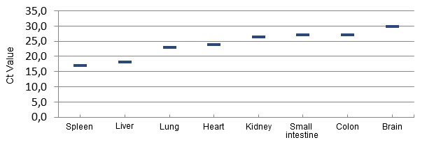 Distribution of the virus by quantitative PCR in tissues of ETNL-affected piglets