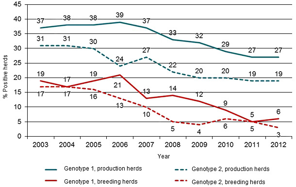 Development in the number of PRRSV positive breeding herds (nucleus and multiplying herds) and in the number of positive production herds in the Danish SPF system where all herds have a PRRSV declaration