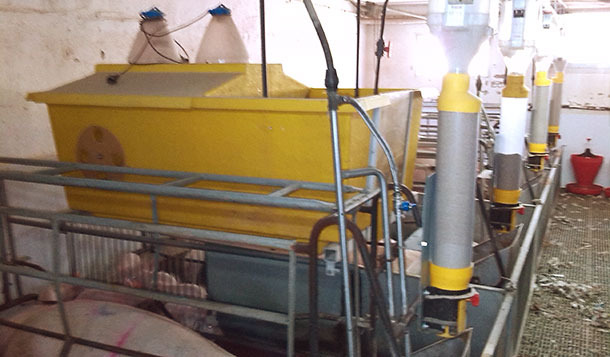 Automatic continuous milk dispensing with drawers as nests in the farrowing room