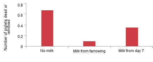 Effect of supplementation with a milk replacer on piglets deaths