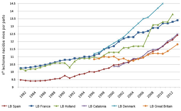 Evolution of the number of piglets born per litter in different countries