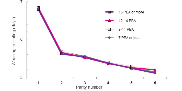 WTS interval during a sow's life based on the number of PBA at first farrowing