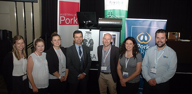 APSA-2015-Turpin-Plush-Huser-Rikard-Bell-Ralph-Morrison-Lines.jpg