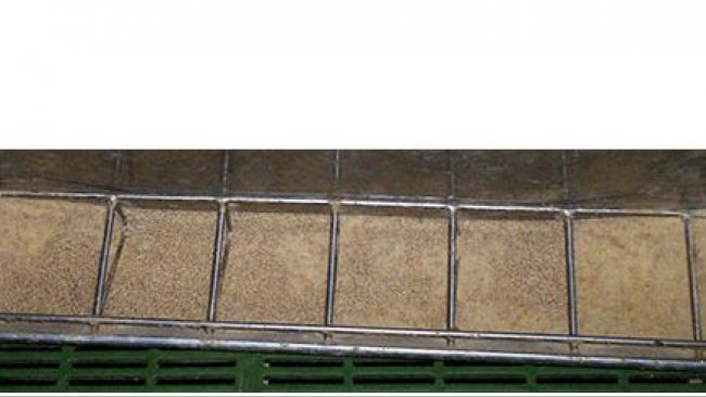 Variability in Feed Manufacturing