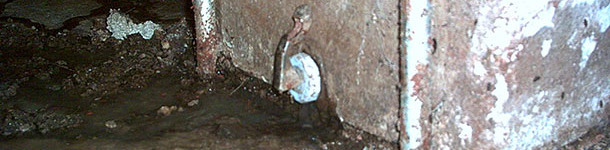 Plugs in the feed troughs 2