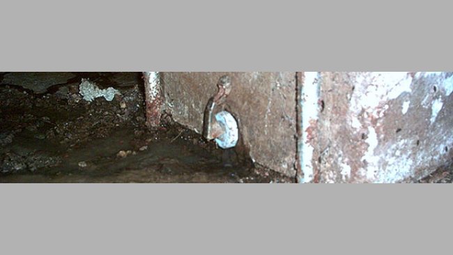Plugs in the feed troughs 2
