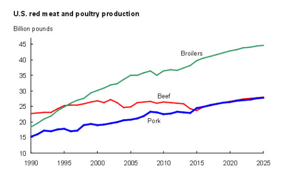 meat production forecasts 2025