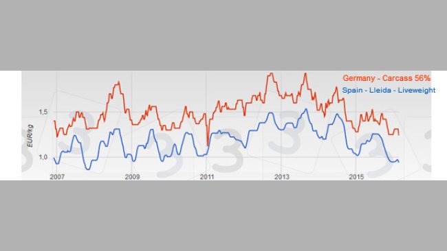 Evolution of pig prices