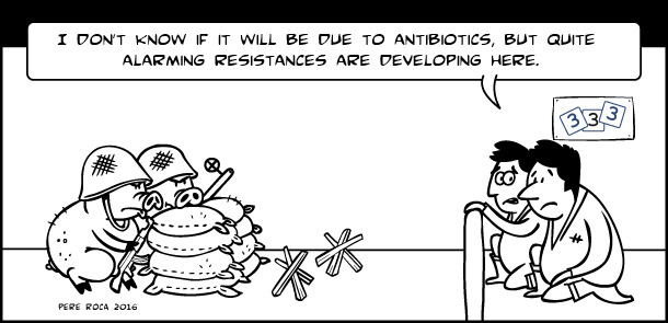 Antibiotic resistance - Humor - pig333, pig to pork community