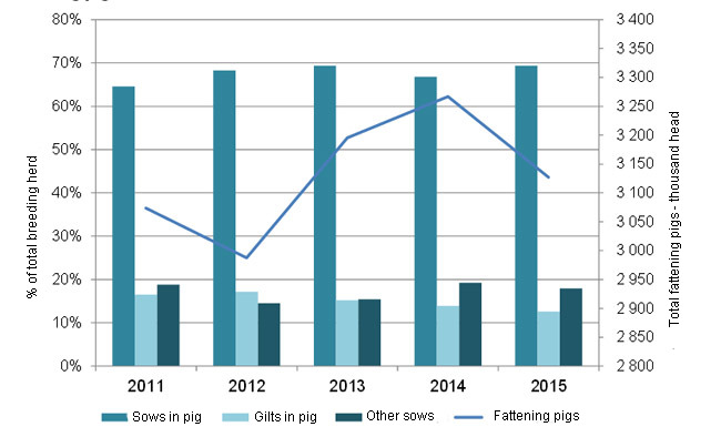 england pig herd 2015