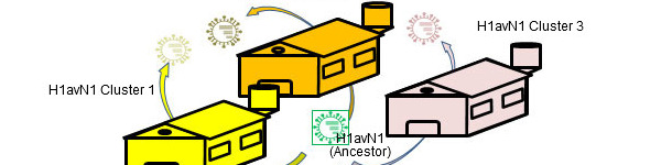 Heterogenicidad genética y antigénica relacionada con la granja