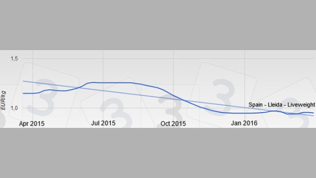 Pig price in Spain - Lleida – Liveweight