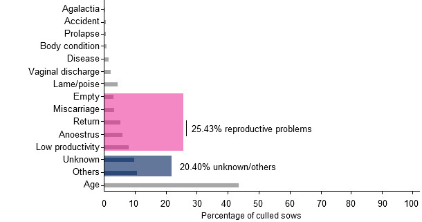 Porcentajes de las diferentes causas de envío de cerdas a matadero, año 2015