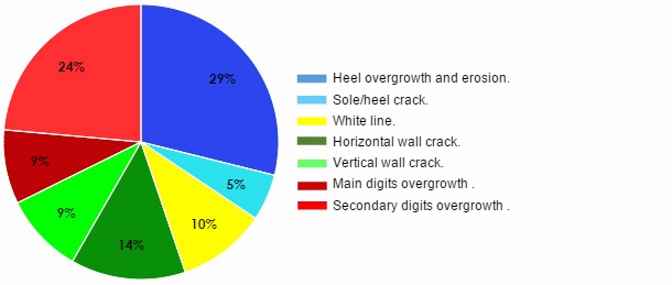 Percentages by type of lesion