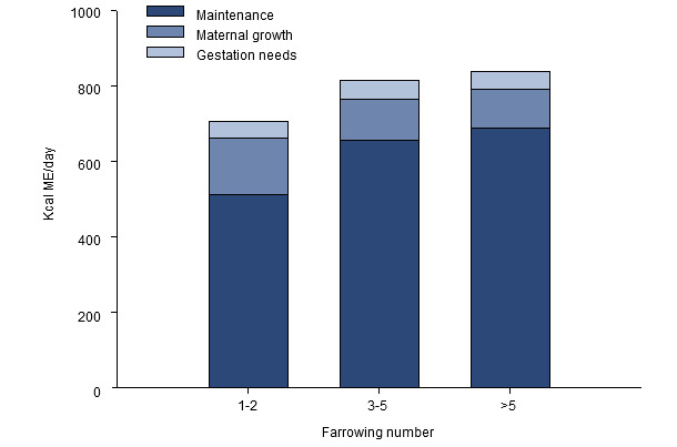 Distribution of the energy needs (ME, kcal / day) during the last 2.5 months of gestation for a young, adult or old sow.