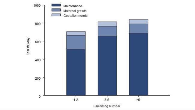 Distribution of the energy needs (ME, kcal / day) during the last 2.5 months of gestation for a young, adult or old sow.